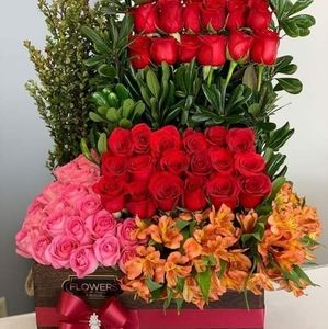 Meet your Posher, Tomalika